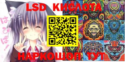 гашик Канаш