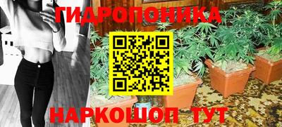 гашик Канаш