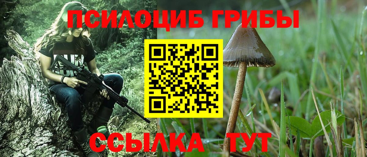 Псилоцибиновые грибы прущие грибы Кирово-Чепецк