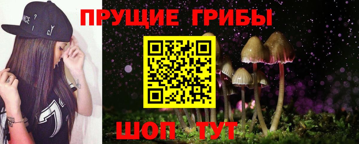 Кирово-Чепецк  Галлюциногенные грибы мицелий  Галлюциногенные грибы прущие грибы  Вход с VPN 