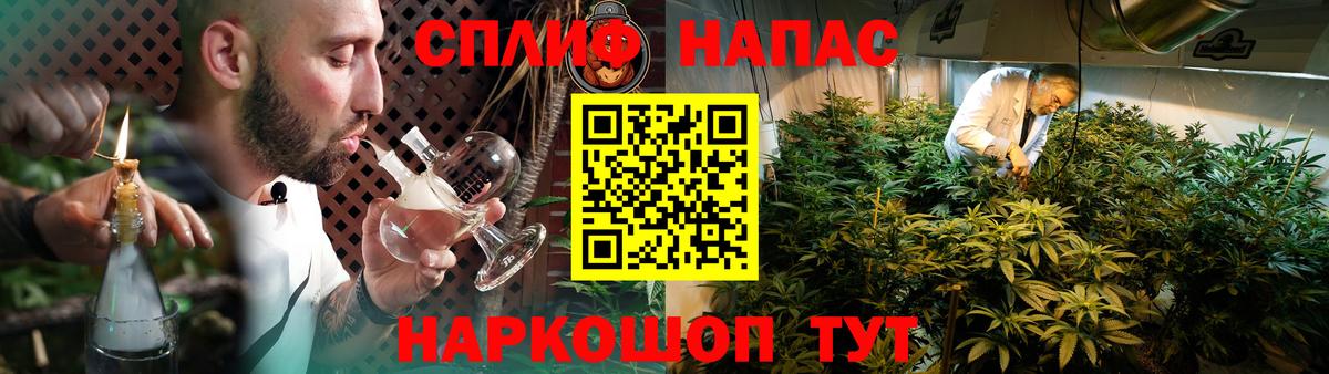 Конопля гибрид Кирово-Чепецк